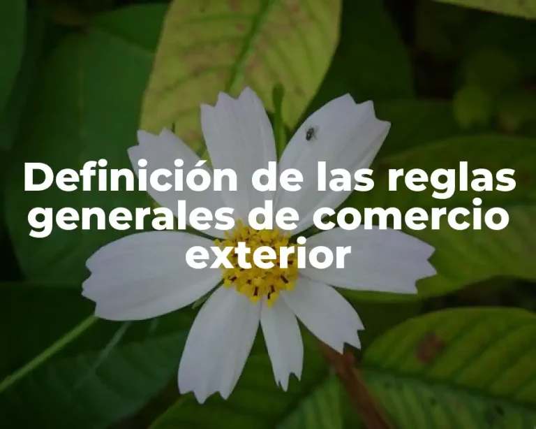 Definición de las reglas generales de comercio exterior