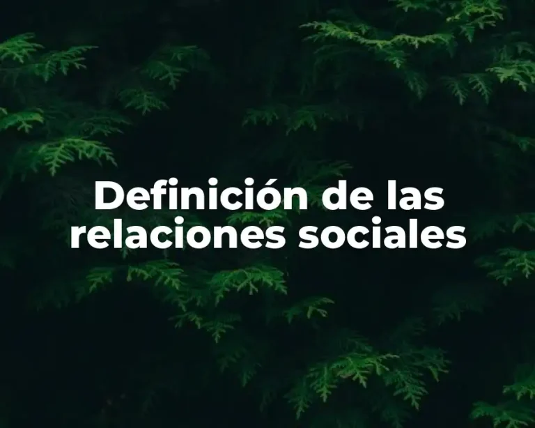 Definición de las relaciones sociales