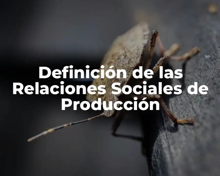 Definición de las Relaciones Sociales de Producción