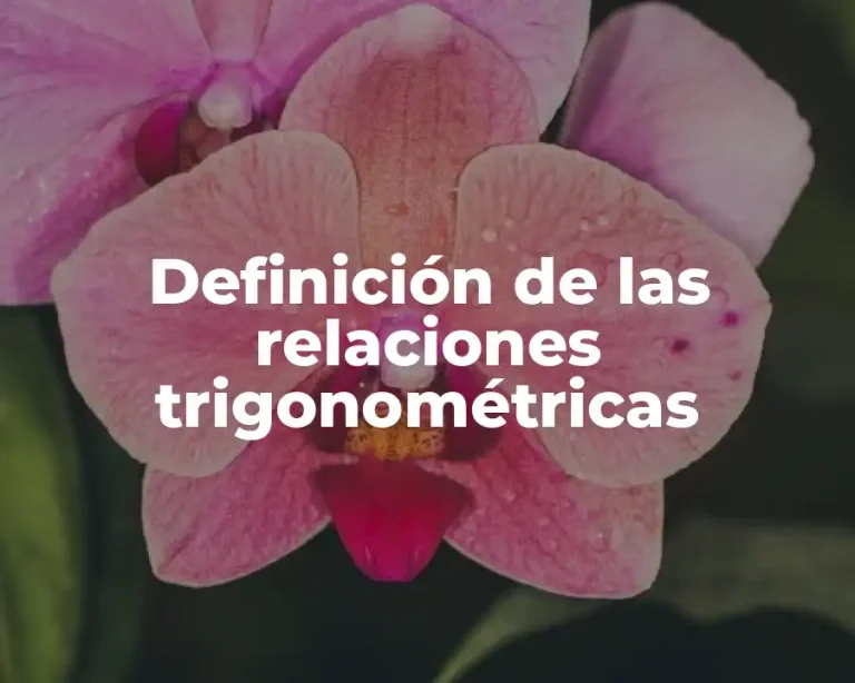 Definición de las relaciones trigonométricas