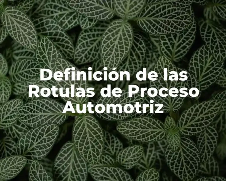 Definición de las Rotulas de Proceso Automotriz