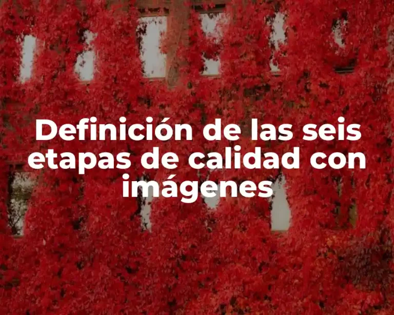 Definición de las seis etapas de calidad con imágenes