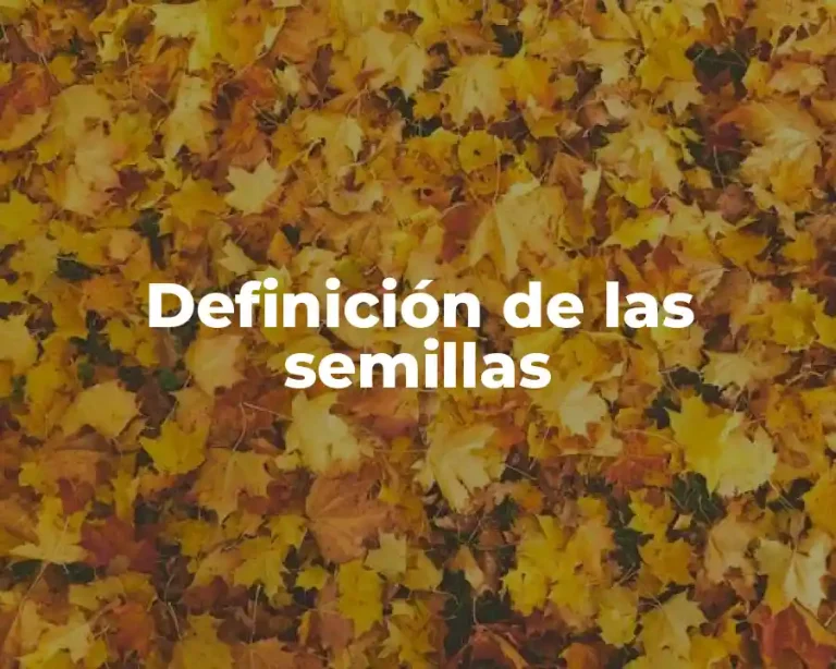 Definición de las semillas