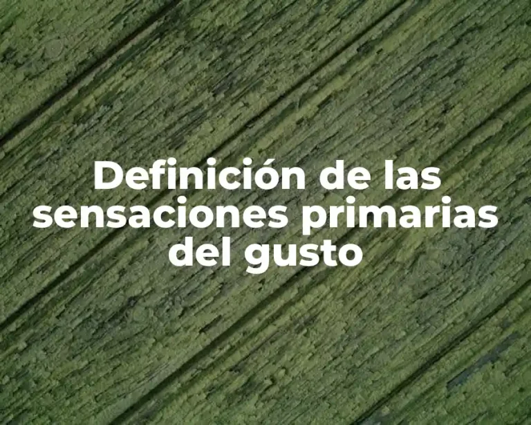 Definición de las sensaciones primarias del gusto