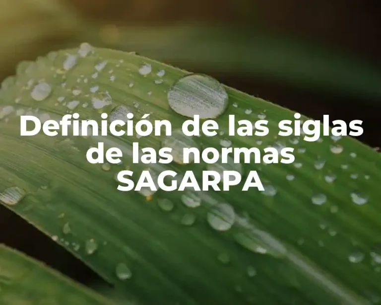Definición de las siglas de las normas SAGARPA