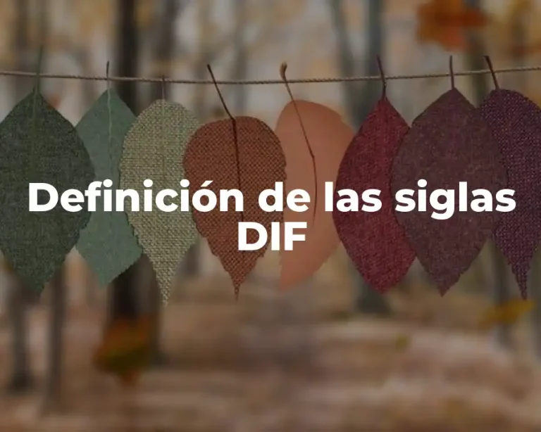 Definición de las siglas DIF