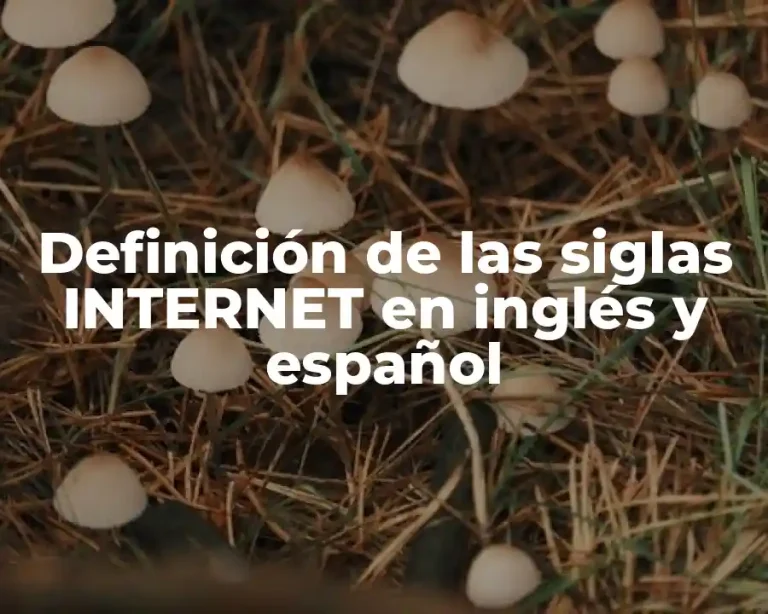 Definición de las siglas INTERNET en inglés y español