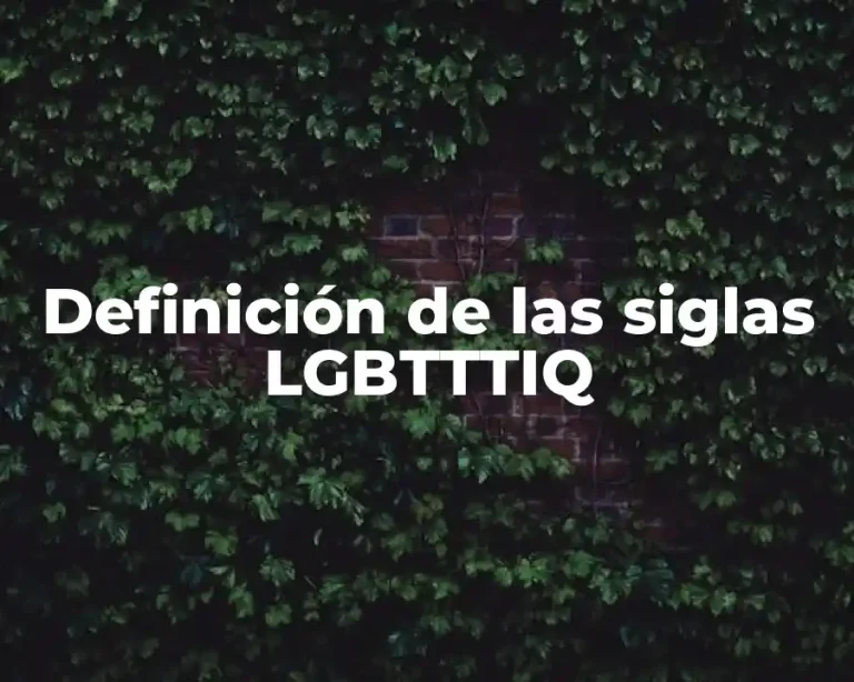 Definición de las siglas LGBTTTIQ