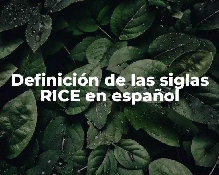 Definición de las siglas RICE en español