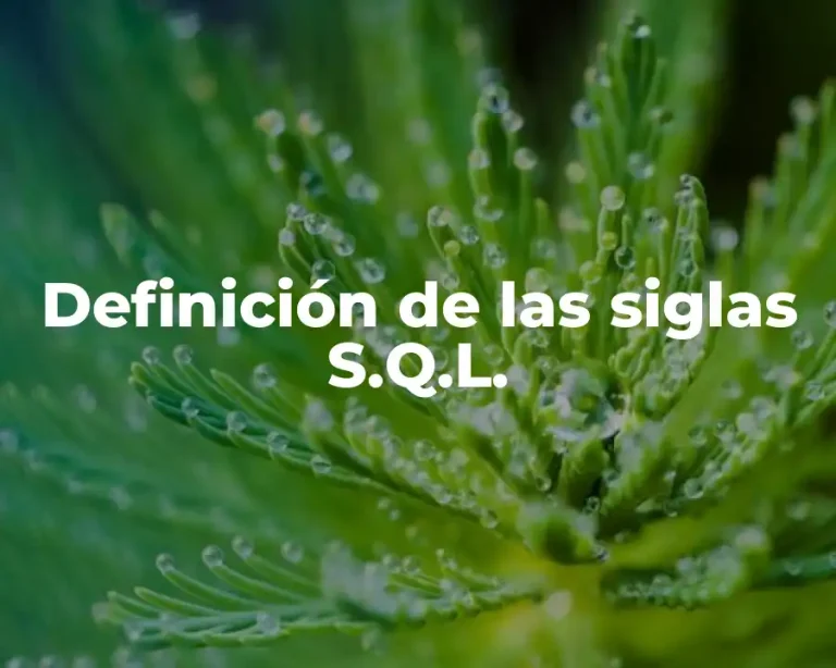 Definición de las siglas S.Q.L.
