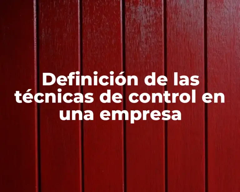 Definición de las técnicas de control en una empresa