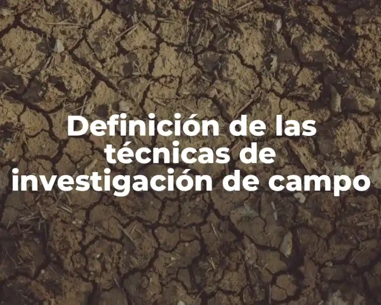 Definición de las técnicas de investigación de campo