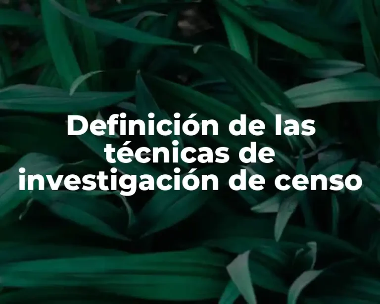 Definición de las técnicas de investigación de censo