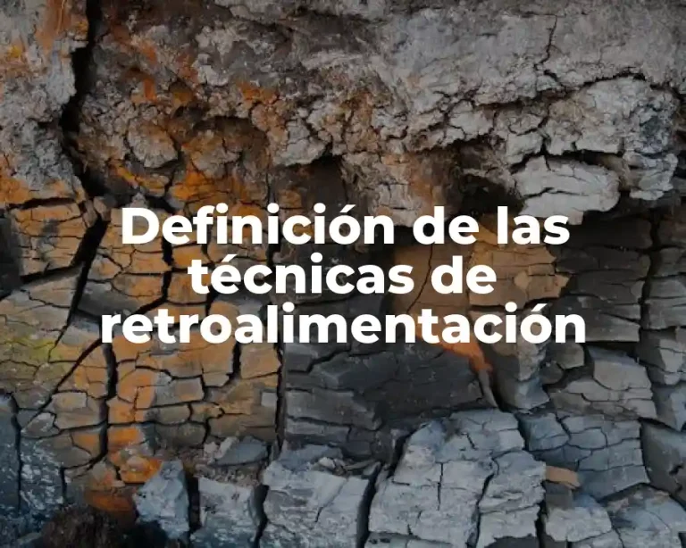 Definición de las técnicas de retroalimentación