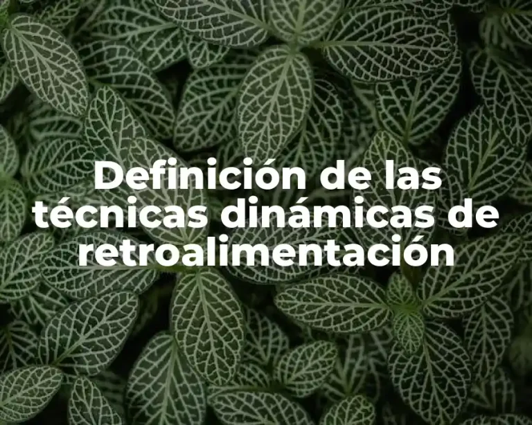 Definición de las técnicas dinámicas de retroalimentación
