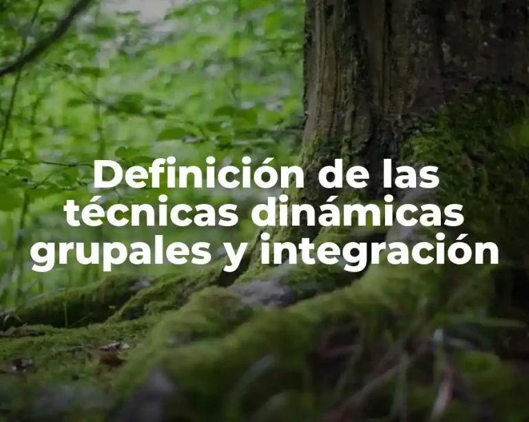 Definición de las técnicas dinámicas grupales y integración