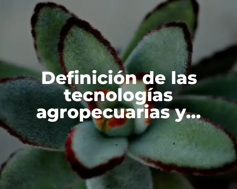 Definición de las tecnologías agropecuarias y pesqueras