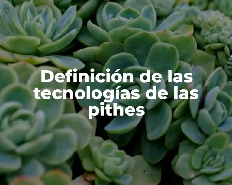 Definición de las tecnologías de las pithes