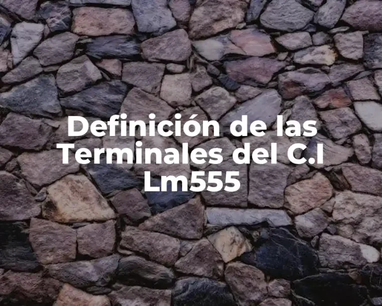 Definición de las Terminales del C.I Lm555