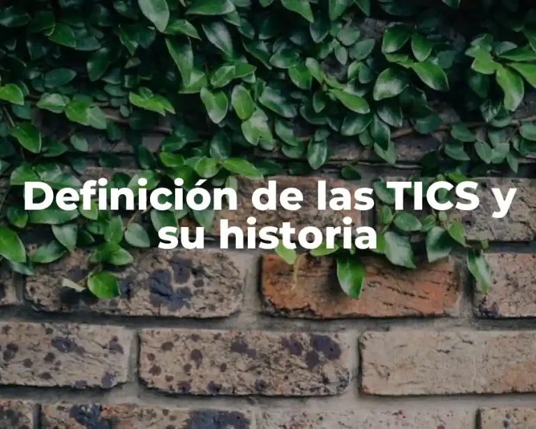Definición de las TICS y su historia