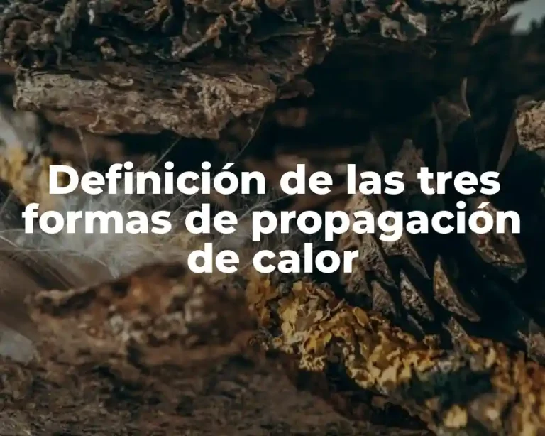 Definición de las tres formas de propagación de calor