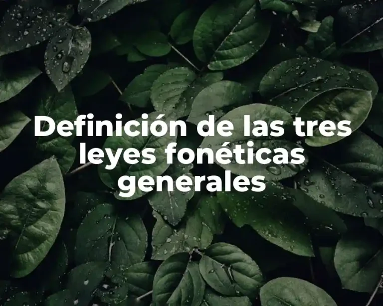 Definición de las tres leyes fonéticas generales
