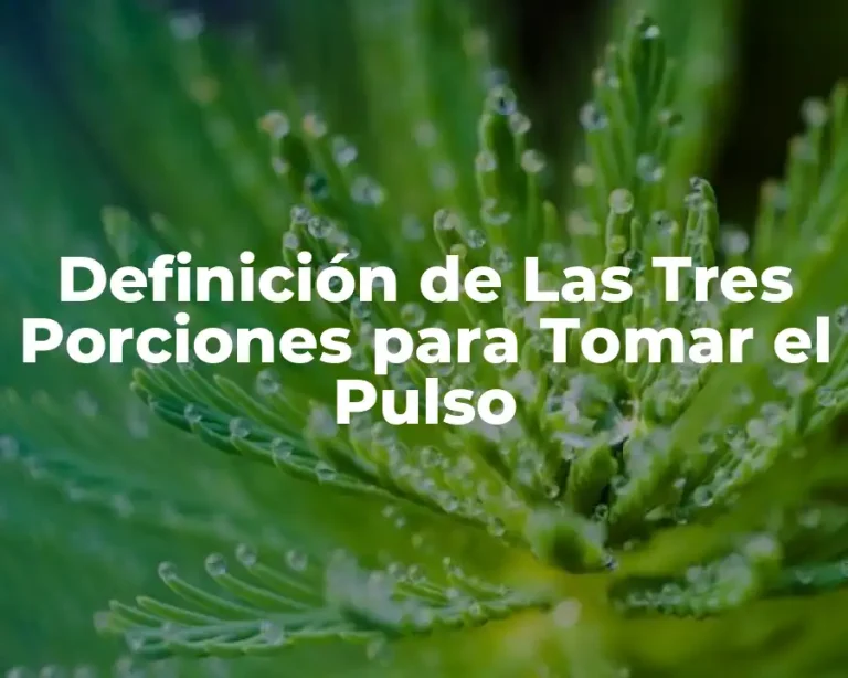 Definición de Las Tres Porciones para Tomar el Pulso
