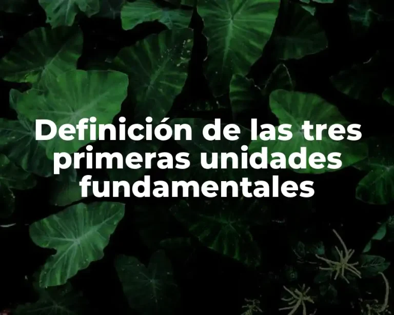 Definición de las tres primeras unidades fundamentales