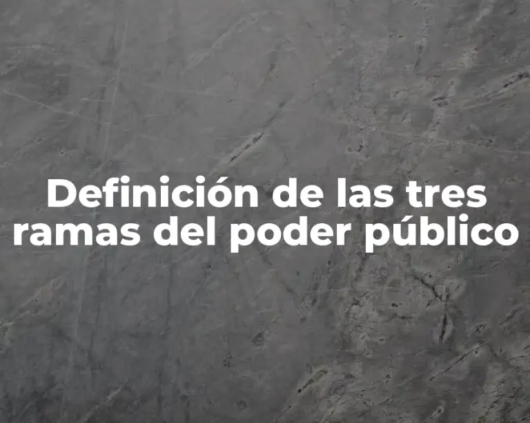Definición de las tres ramas del poder público