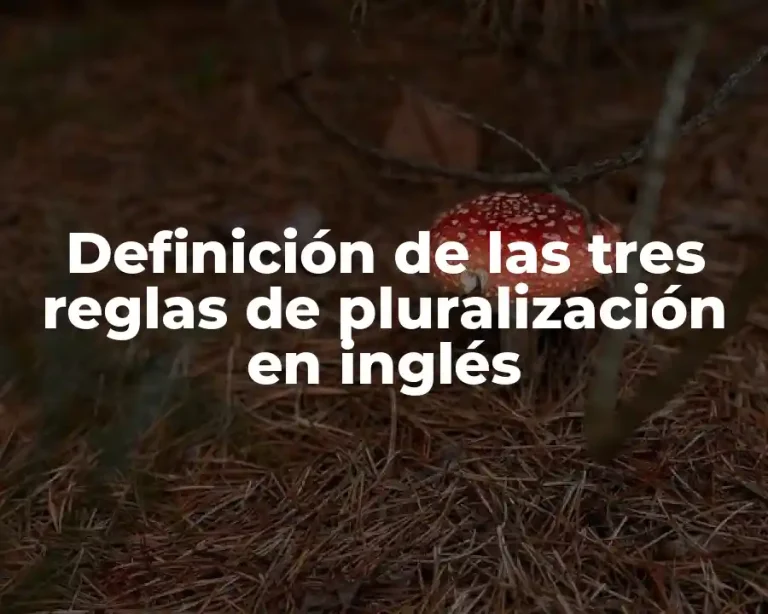 Definición de las tres reglas de pluralización en inglés