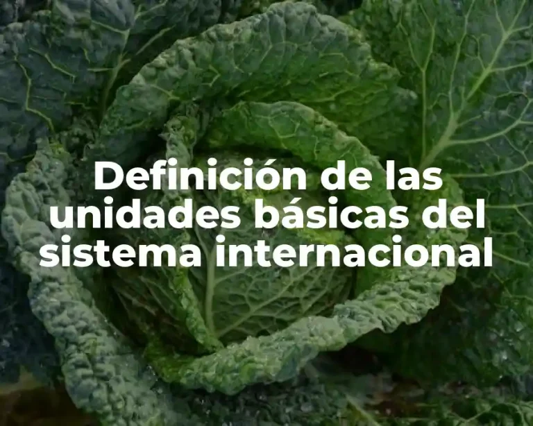 Definición de las unidades básicas del sistema internacional