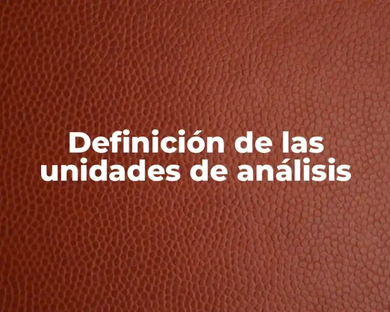 Definición de las unidades de análisis