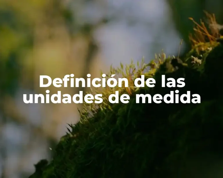 Definición de las unidades de medida