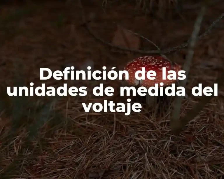 Definición de las unidades de medida del voltaje