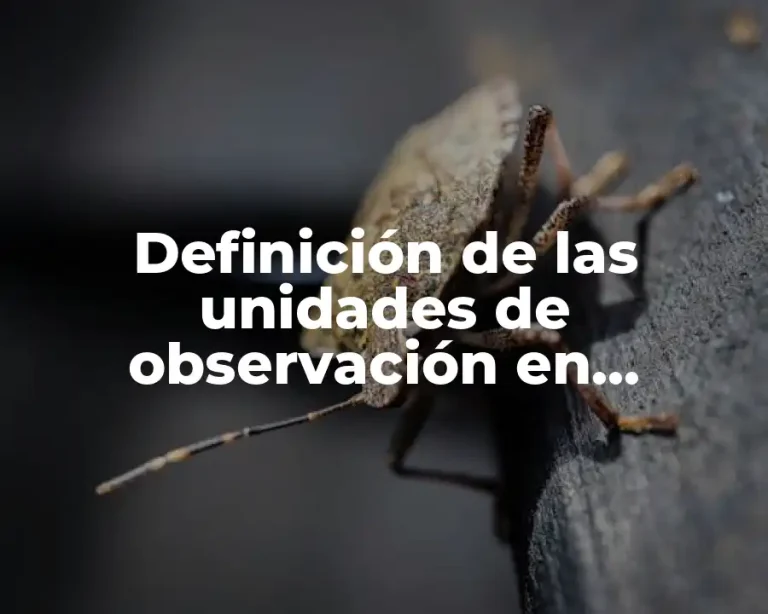 Definición de las unidades de observación en investigación