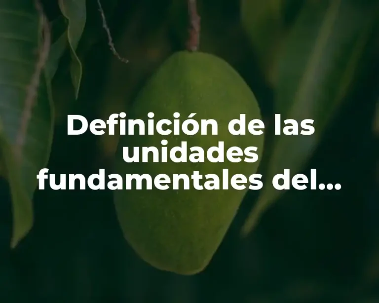 Definición de las unidades fundamentales del sistema inglés