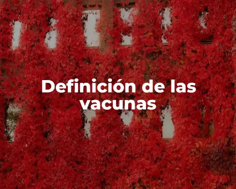 Definición de las vacunas