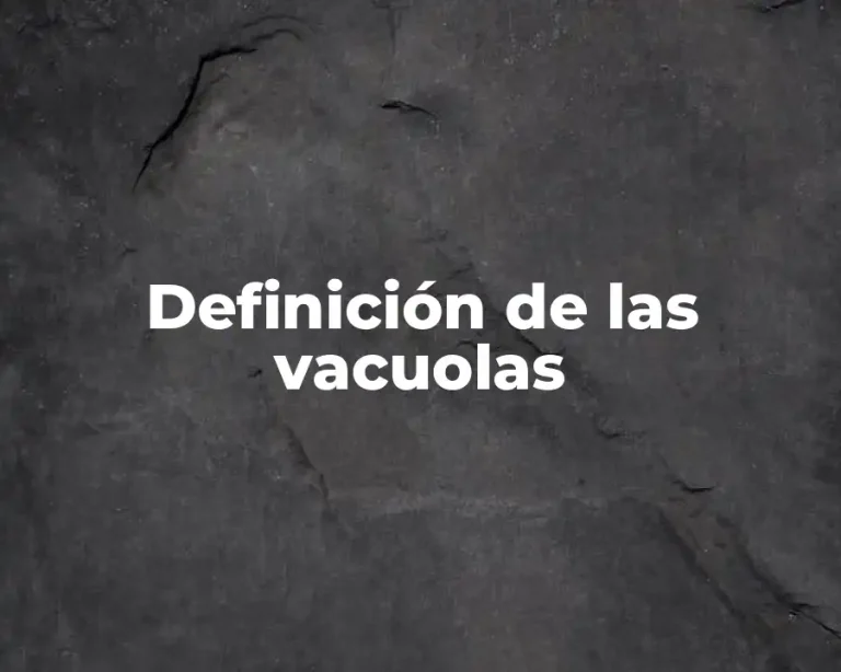 Definición de las vacuolas