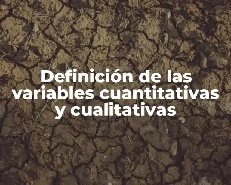 Definición de las variables cuantitativas y cualitativas