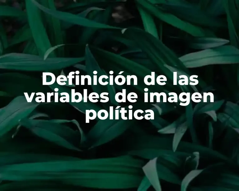 Definición de las variables de imagen política