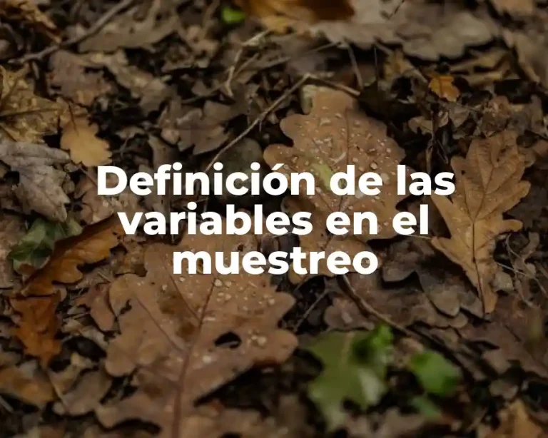 Definición de las variables en el muestreo