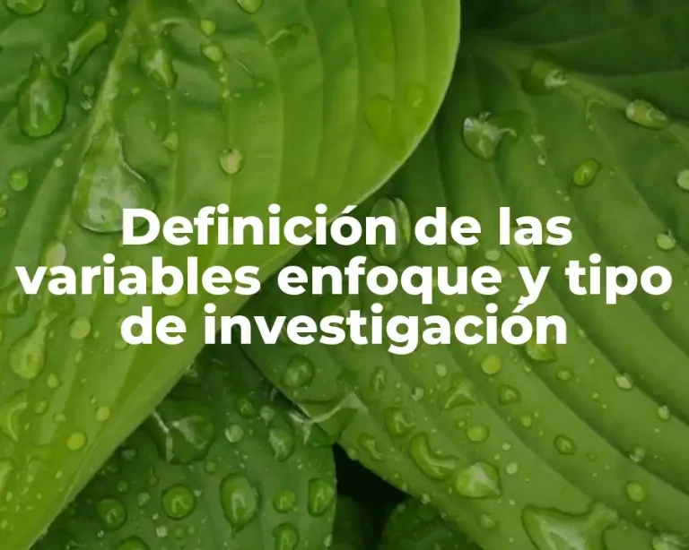 Definición de las variables enfoque y tipo de investigación