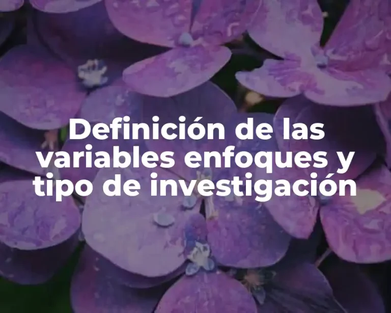 Definición de las variables enfoques y tipo de investigación