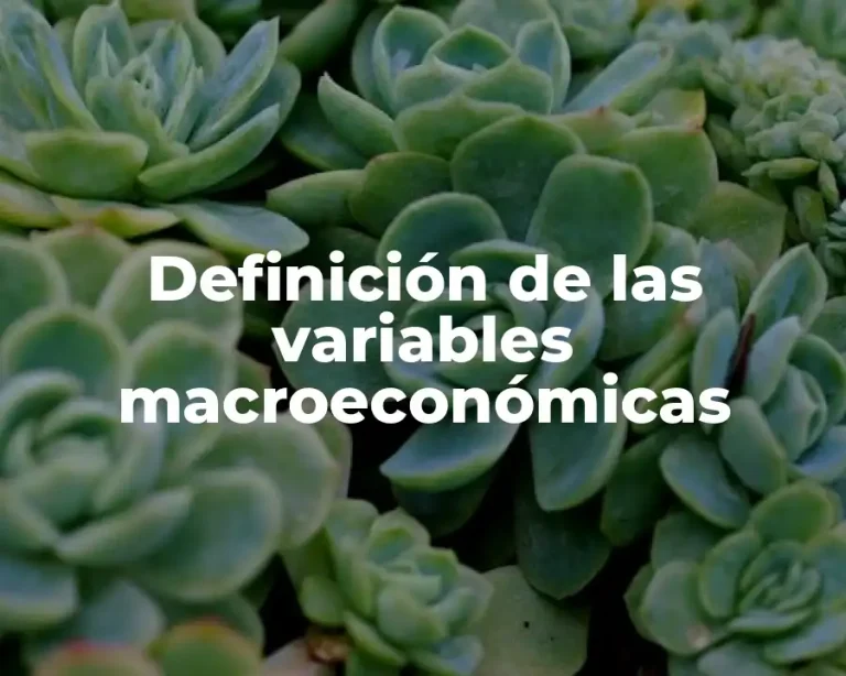 Definición de las variables macroeconómicas