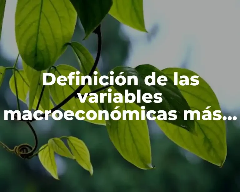 Definición de las variables macroeconómicas más importantes