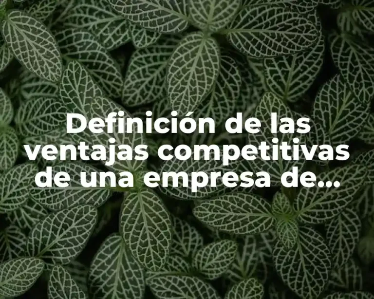 Definición de las ventajas competitivas de una empresa de frutas