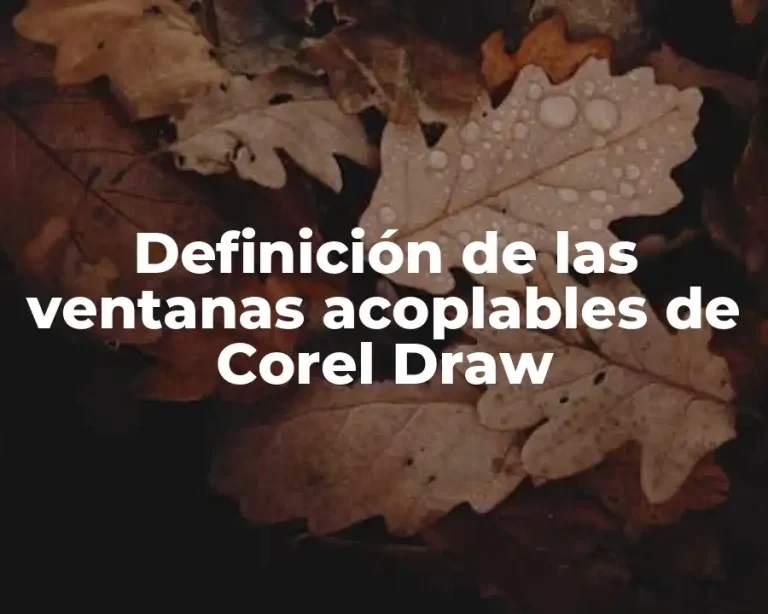 Definición de las ventanas acoplables de Corel Draw