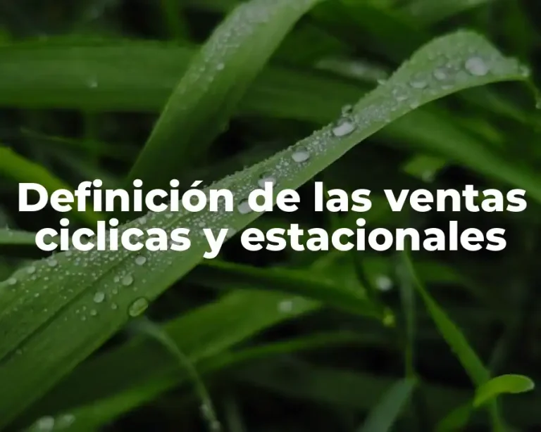 Definición de las ventas ciclicas y estacionales
