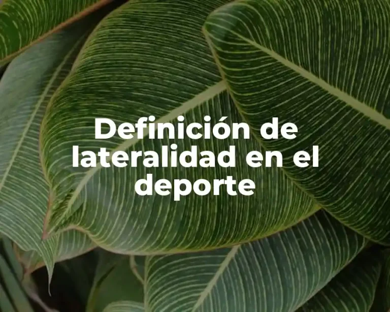 Definición de lateralidad en el deporte