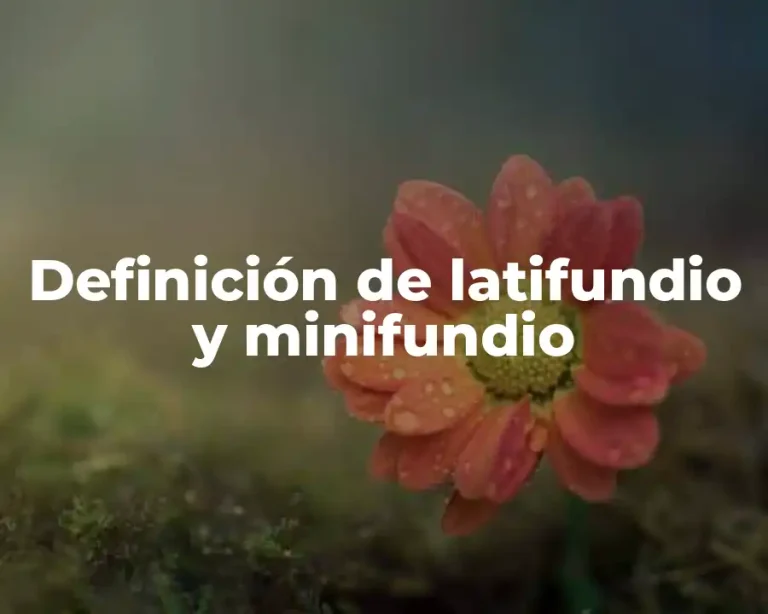 Definición de latifundio y minifundio